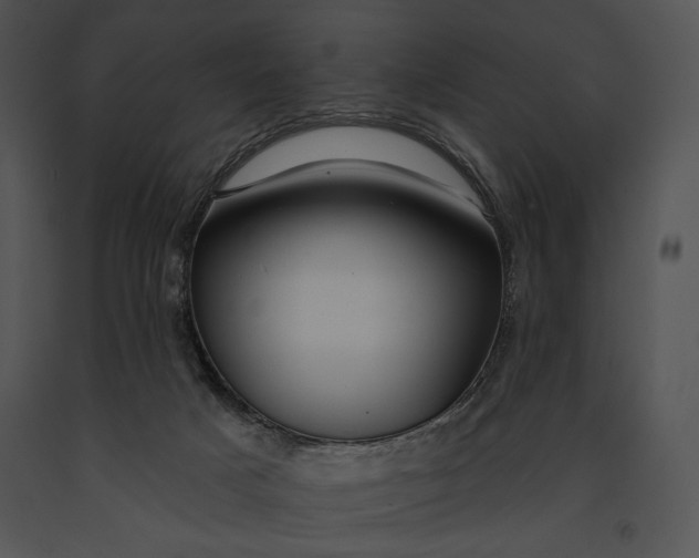 X0000091170025200708301205