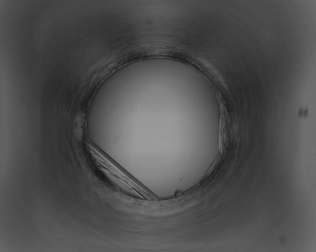 X0000091170026200708301204