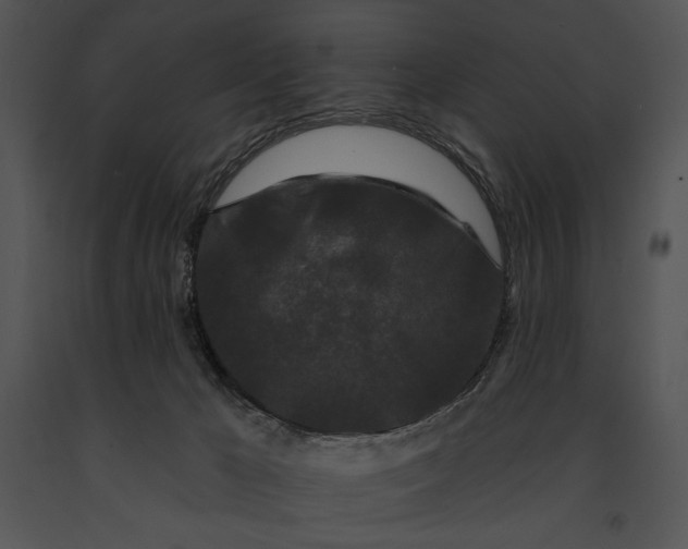 X0000091170029200708301204