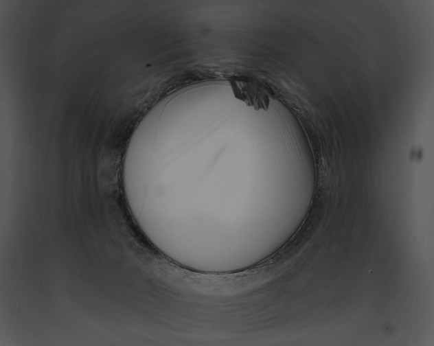 X0000091170030200708301204