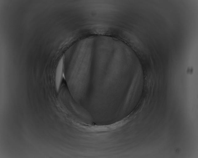 X0000091170031200708301204