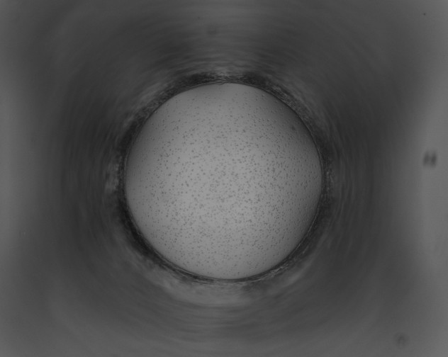 X0000091170032200708301204