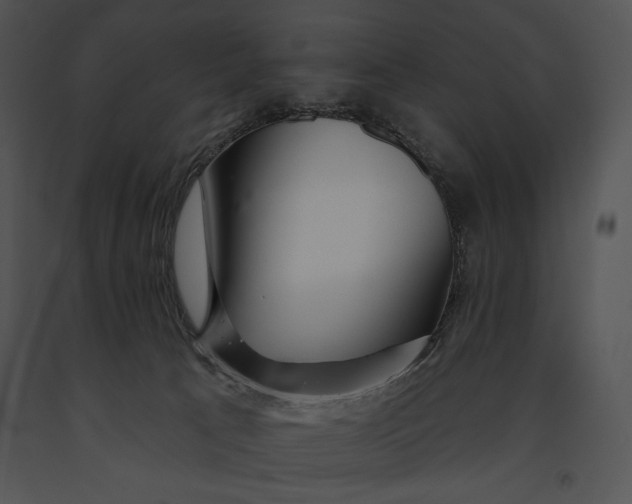 X0000091170033200708301204