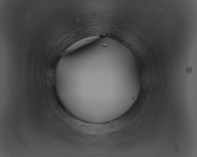 X0000091170034200708301204