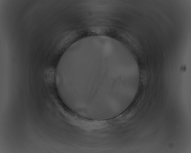 X0000091170036200708301204