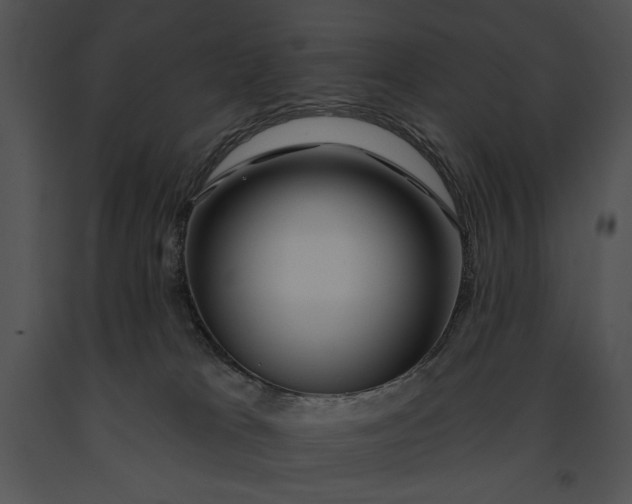 X0000091170037200708301204