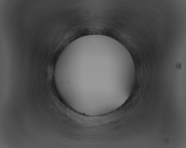 X0000091170038200708301204