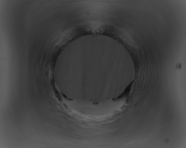 X0000091170039200708301204