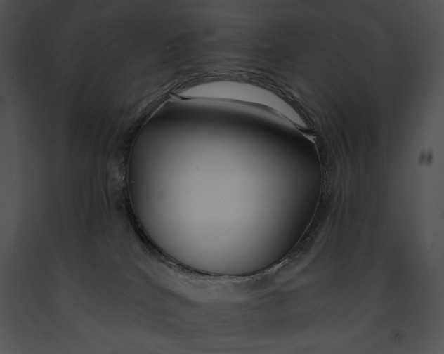 X0000091170040200708301204