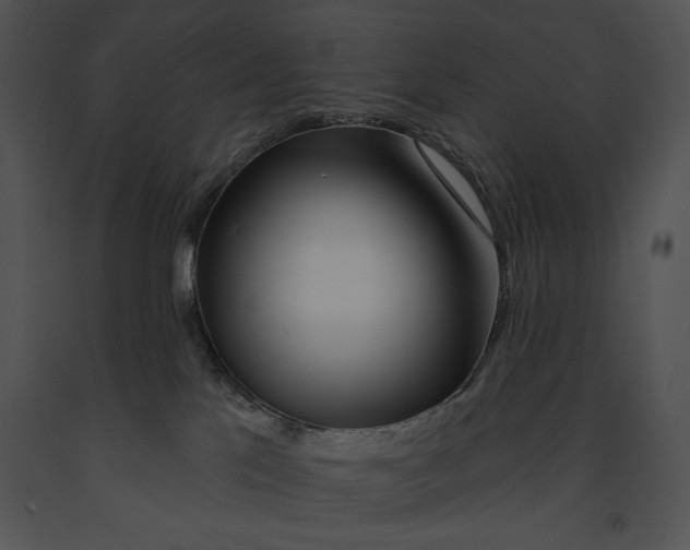 X0000091170041200708301204