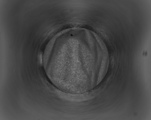 X0000091170042200708301204