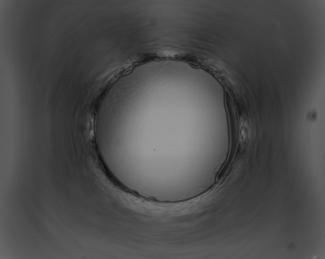 X0000091170043200708301204