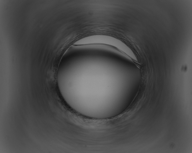 X0000091170044200708301204