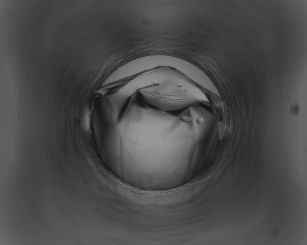 X0000091170046200708301204