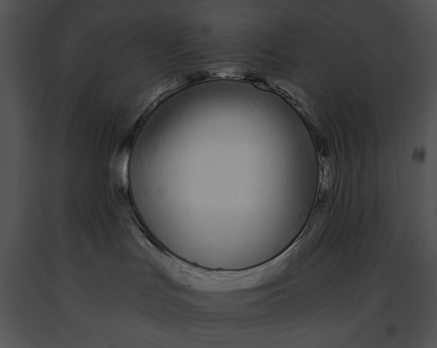 X0000091170047200708301204