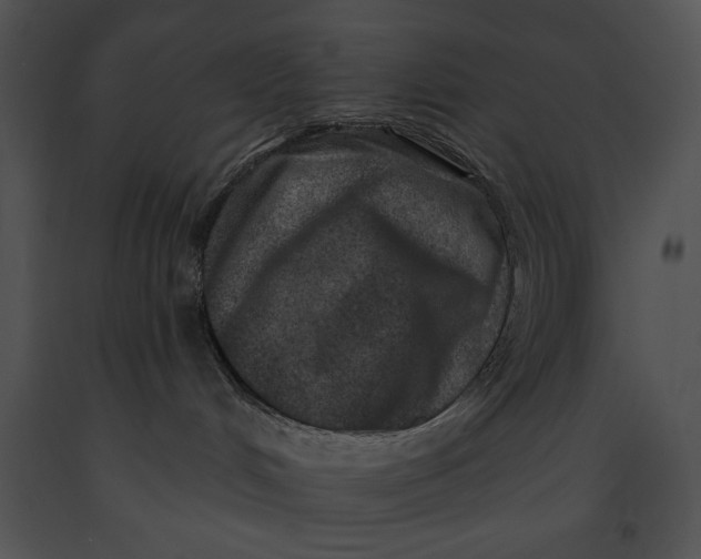 X0000091170048200708301204