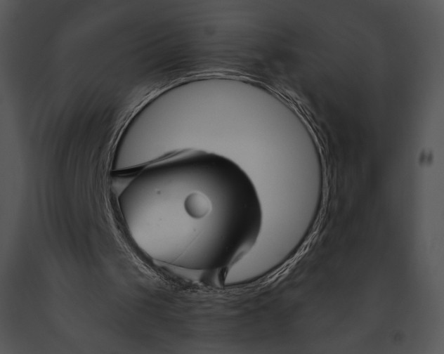 X0000091170049200708301203