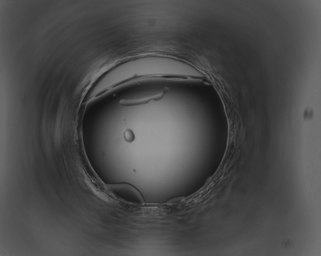 X0000091170050200708301203