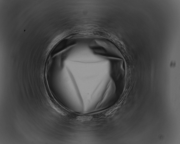 X0000091170051200708301203