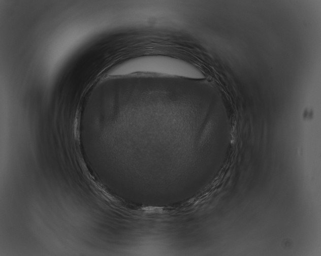 X0000091170052200708301204