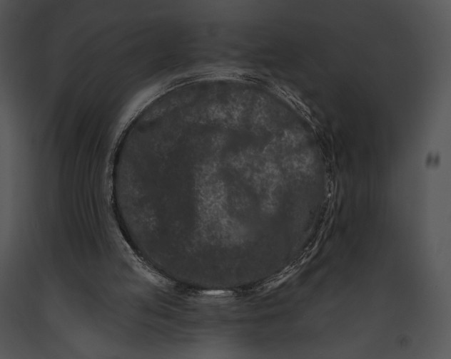 X0000091170053200708301204