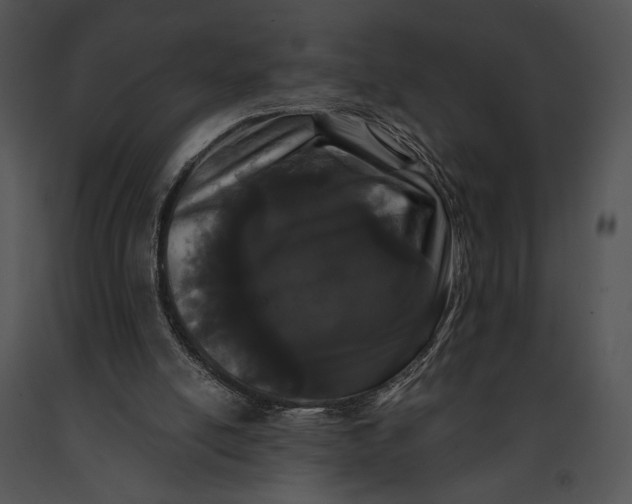 X0000091170054200708301204