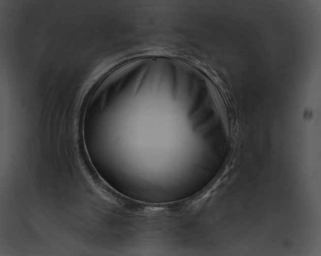 X0000091170055200708301204