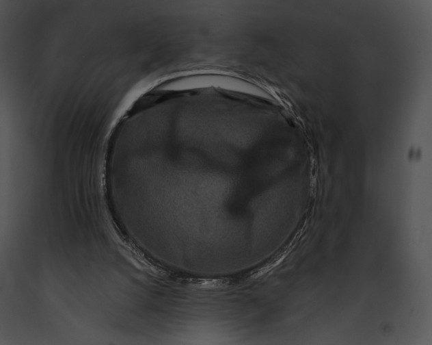 X0000091170056200708301204