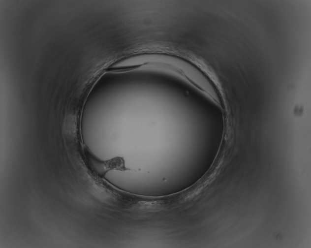 X0000091170057200708301204