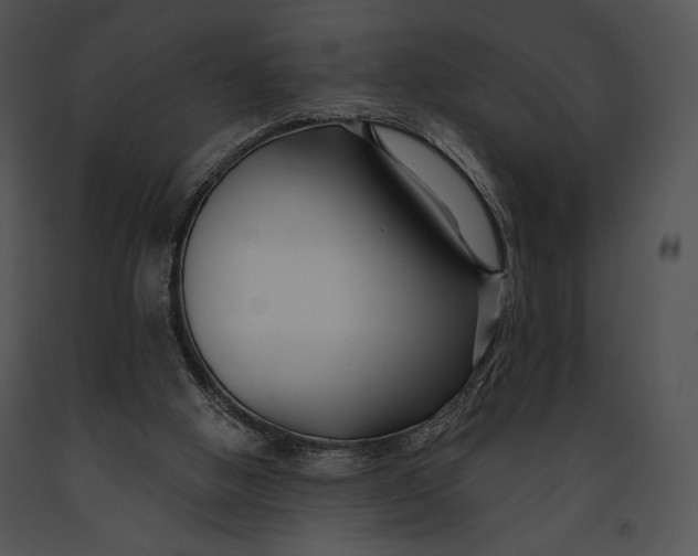 X0000091170058200708301204