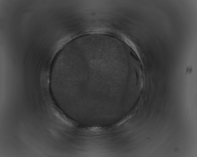 X0000091170059200708301204