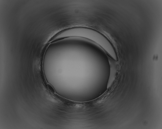 X0000091170060200708301204