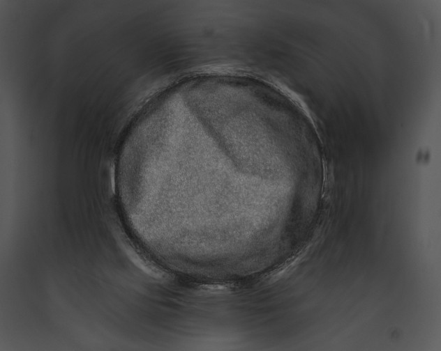 X0000091170061200708301204