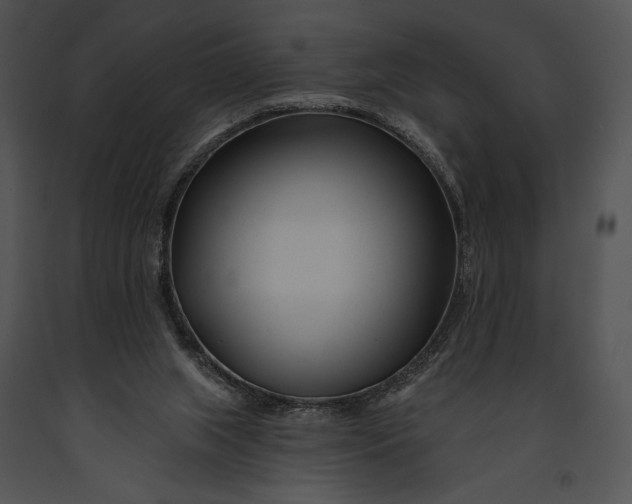 X0000091170063200708301204