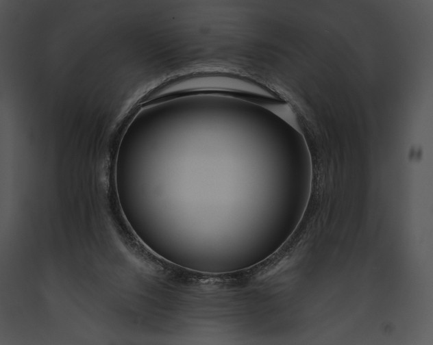 X0000091170064200708301204