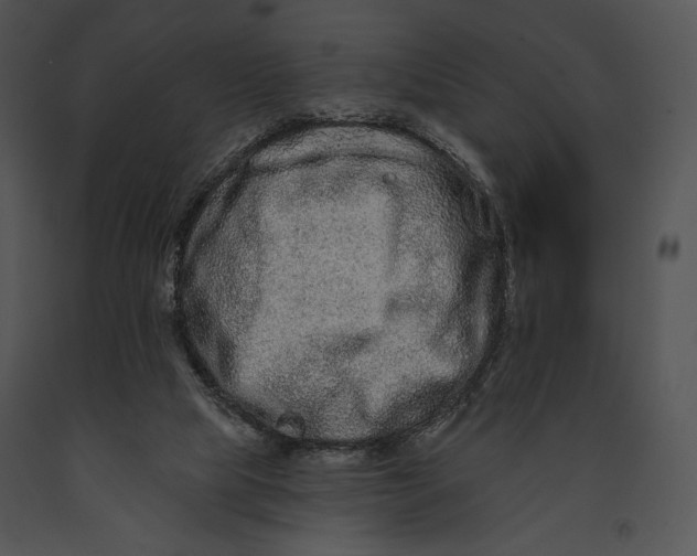 X0000091170065200708301204