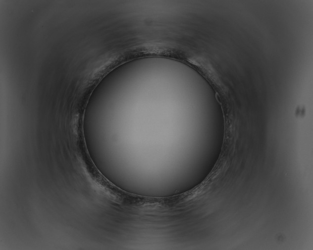 X0000091170066200708301204