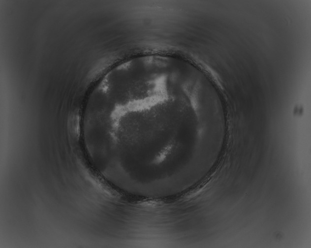 X0000091170067200708301204