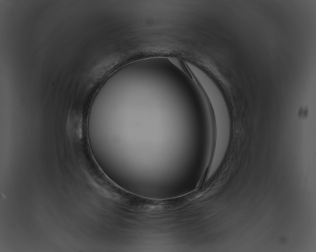 X0000091170068200708301204