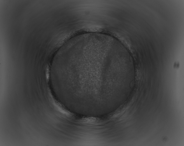 X0000091170069200708301204