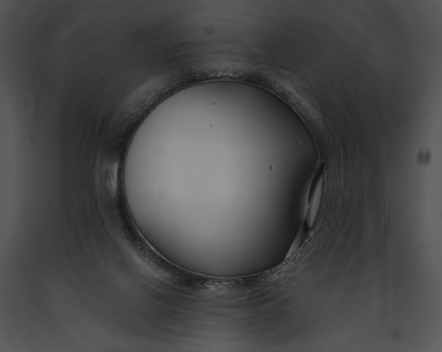 X0000091170070200708301204