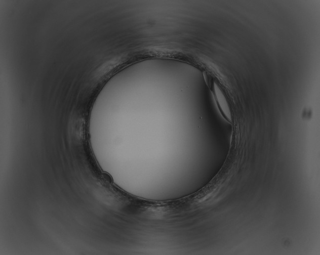 X0000091170071200708301204