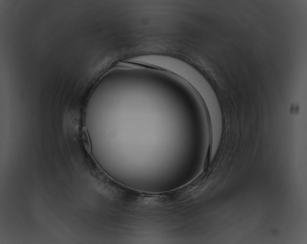 X0000091170072200708301204