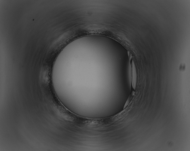 X0000091170074200708301204