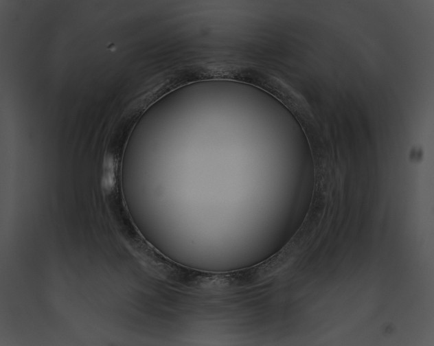 X0000091170075200708301204