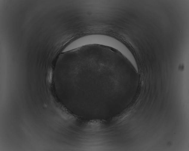 X0000091170076200708301204