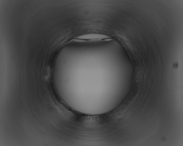 X0000091170077200708301204