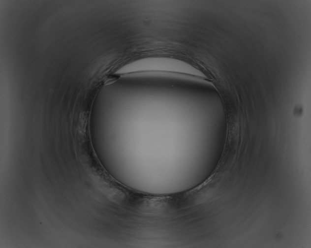 X0000091170078200708301204