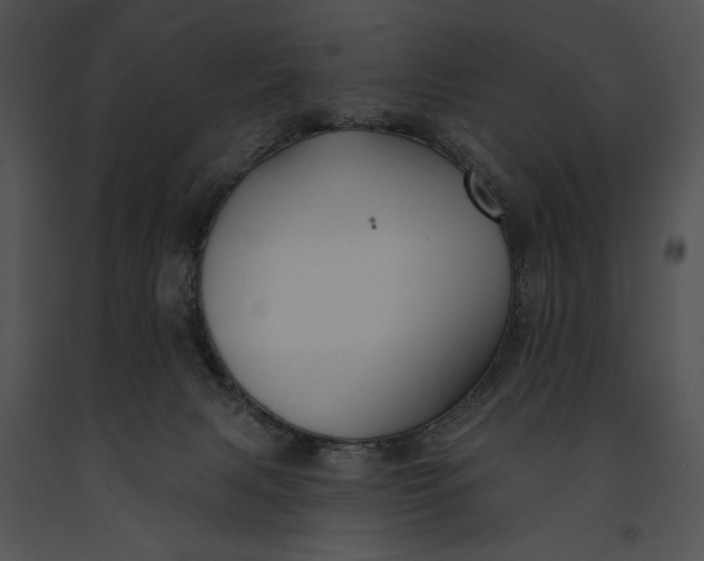 X0000091170079200708301204