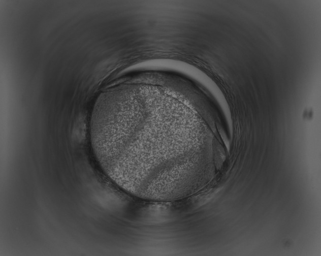 X0000091170080200708301204